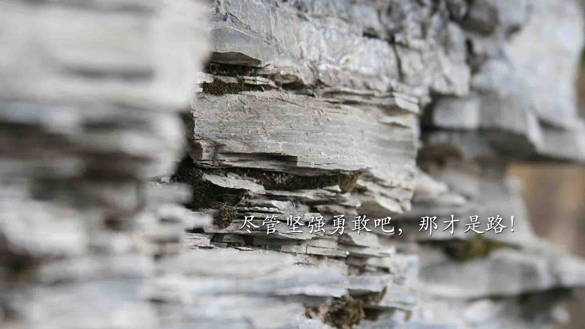 掘金迎来重要球员复出，战力大增，掘金球员介绍