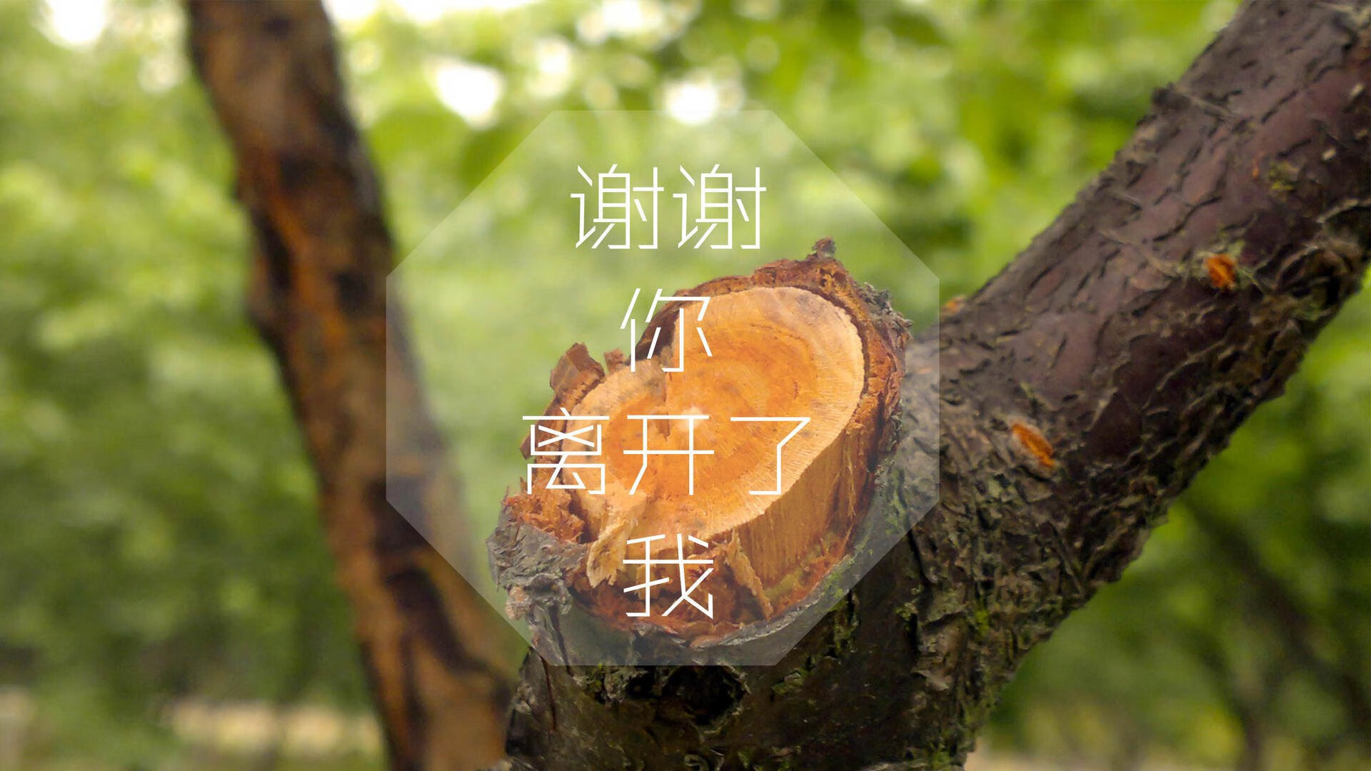 逆风翻盘的“奇迹战队”：用信念逆天改命，奇迹战队成员