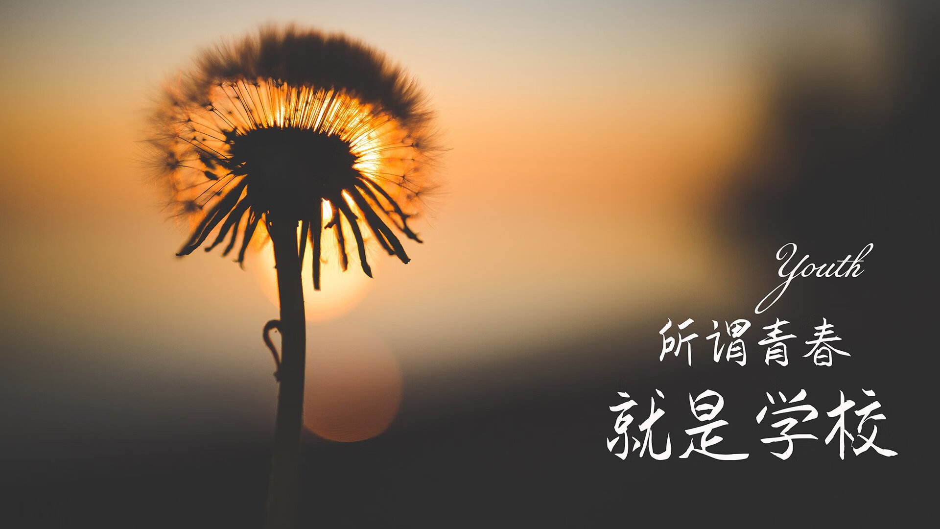 惊心动魄，亚冠比赛战况瞬息万变，亚冠比赛时间表2020