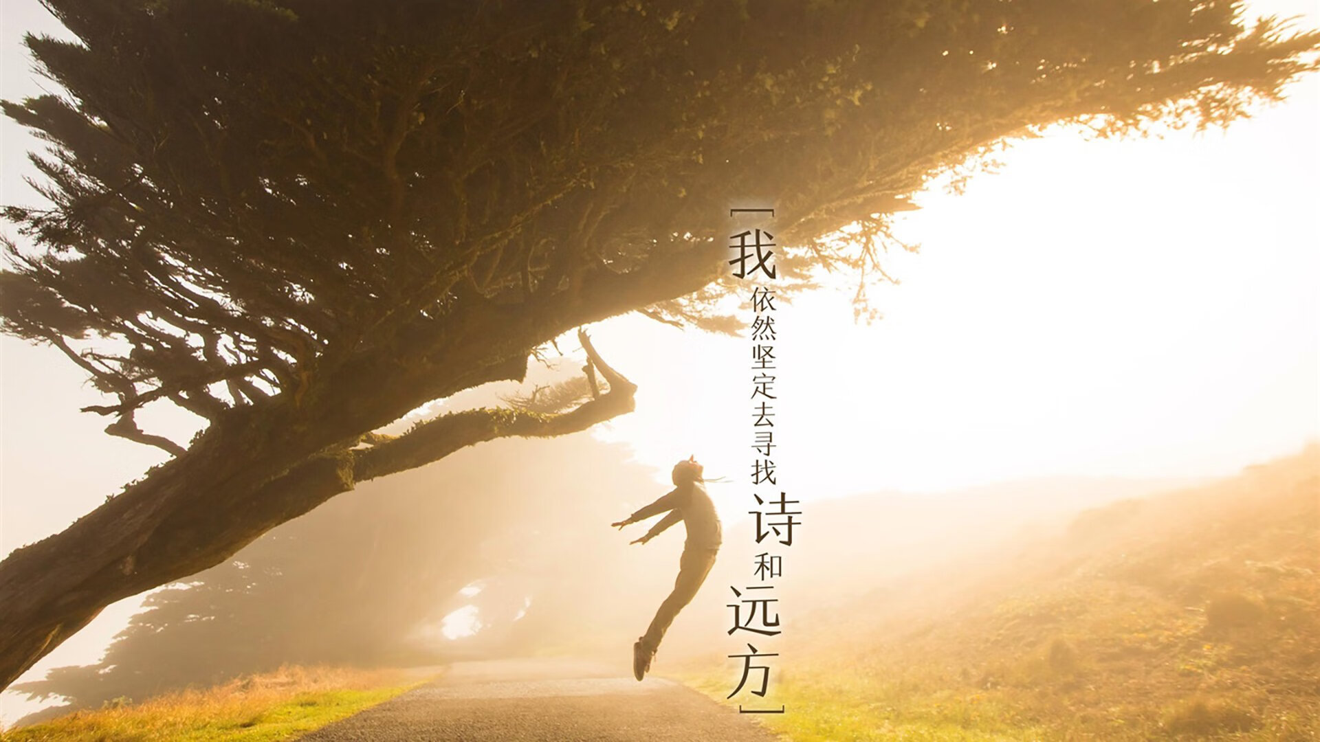 澳大利亚队在全球乒乓舞台的未来：挑战与机遇并存，澳大利亚乒乓球运动员最新情况