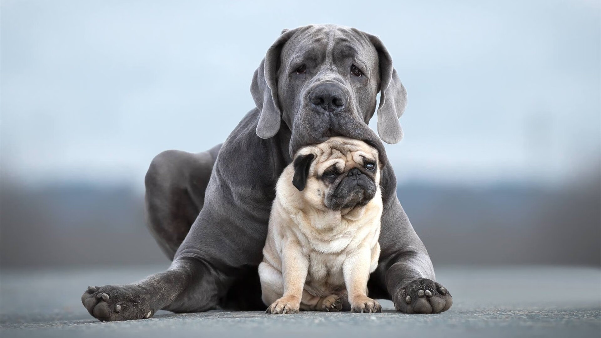 数字化分析助力技术优化与战术部署，数字化技术及手段