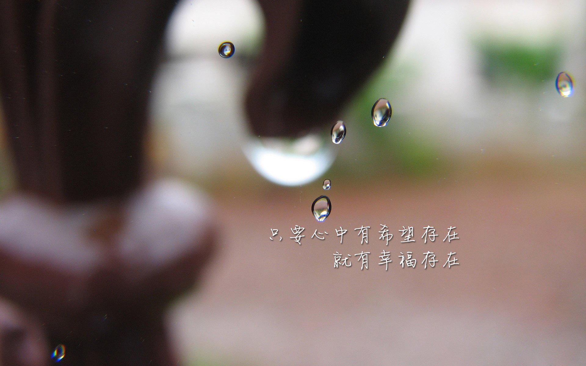 跳水高难动作中立代表队A稳中求胜，跳水高难度动作名称